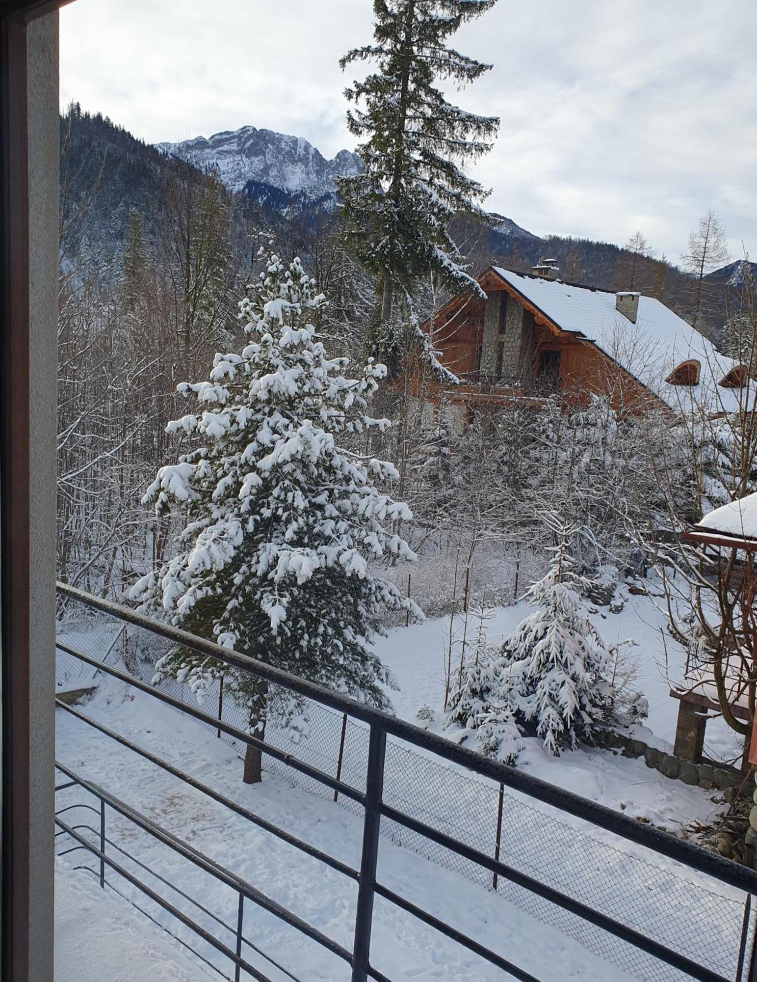 Asteria Apartment Zakopane Room photo